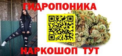 a pvp Обь